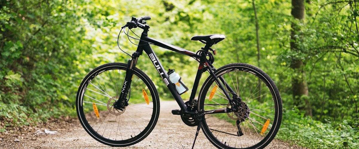 c81ba8ece86c1b6dead8b79763517037 c81ba8ece86c1b6dead8b79763517037